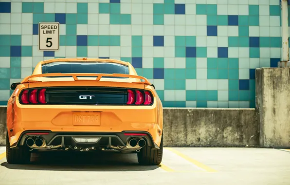 Ford, rear view, 2018, Mustang GT, Fastback Sports