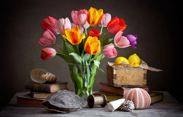 The dark background, books, bouquet, tulips, shell, fruit, still life, lemons