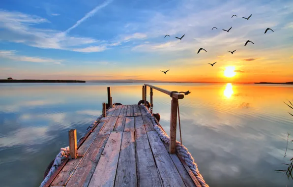 Sunset, lake, seagulls, landscape, nature, sunset, lake, pier