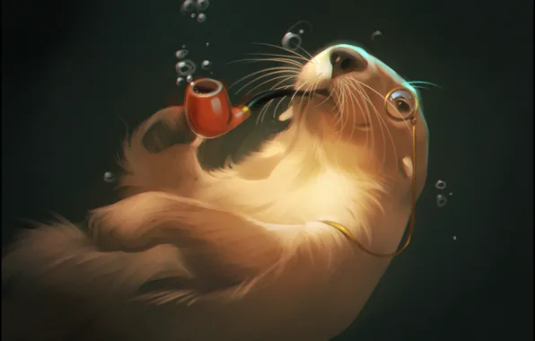 Water, bubbles, tube, art, monocle, otter, otter
