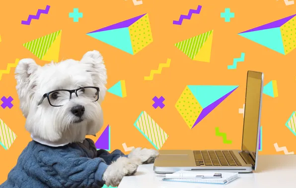 Dog, Humor, Glasses, Table, Laptop