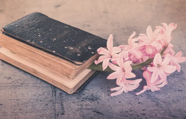 Flowers, retro, sprig, background, book, still life, composition, hyacinths