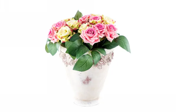 Roses, bouquet, white background, vase
