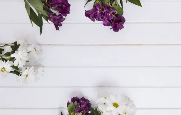 Flowers, background, Chrysanthemum, Alstroemeria