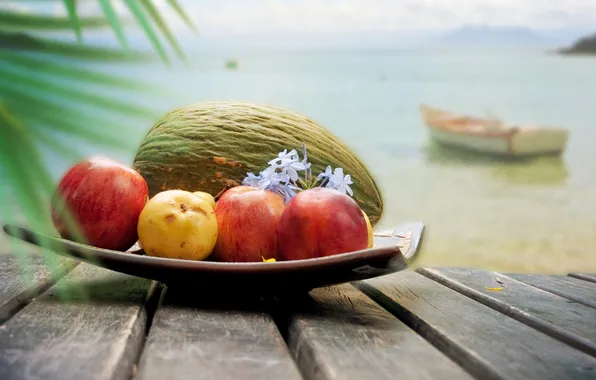 Picture sea, clouds, flowers, boat, apples, coconut, fruit