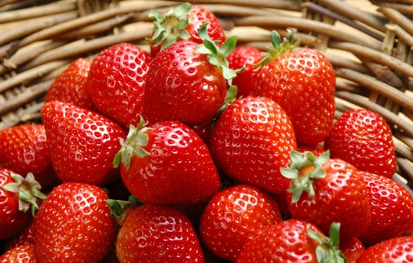 Berries, basket, Strawberry