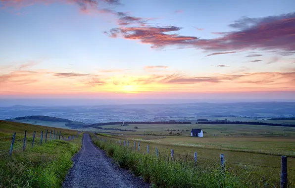 Road, field, landscape, sunset