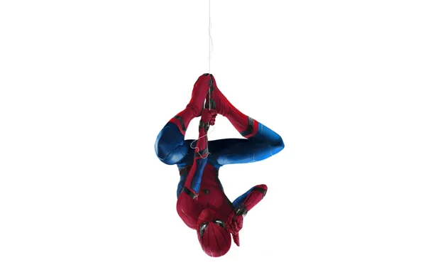 Picture background, spider-man, spider-man, mask, hero, costume, Marvel, Peter Parker