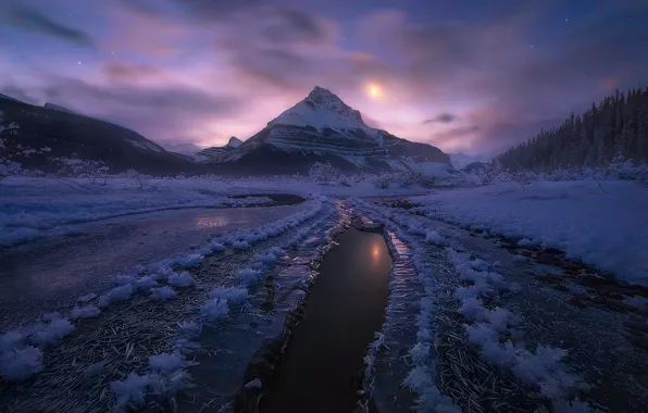 Winter, snow, mountains, night, Canada, Albert, moonlight, Jasper national Park