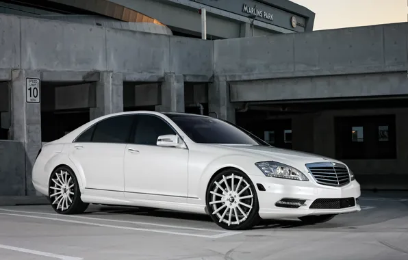 Picture lights, Mercedes, wheels, with, color, S550, Forgiato, lowered