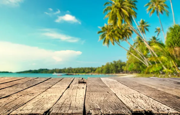 Sand, sea, beach, summer, the sky, palm trees, summer, beach