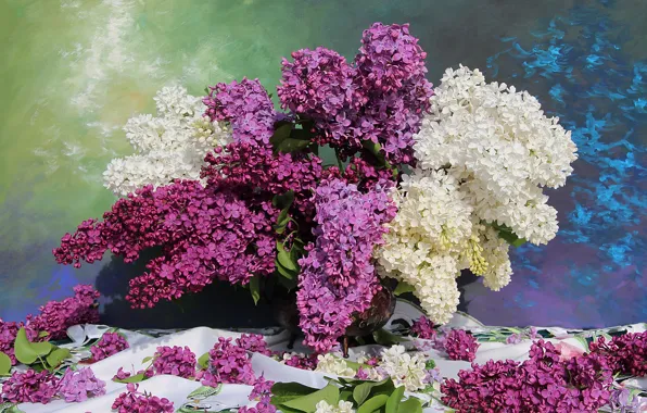Flowers, bouquet, petals, white, placer, lilac, lilac, inflorescence