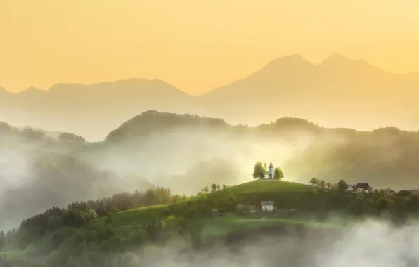 Picture forest, trees, mountains, fog, hills, home, Spring, morning