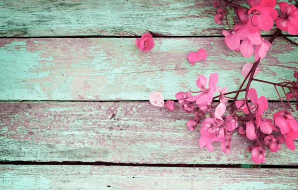 Flowers, spring, pink, vintage, wood, pink, flowers, spring