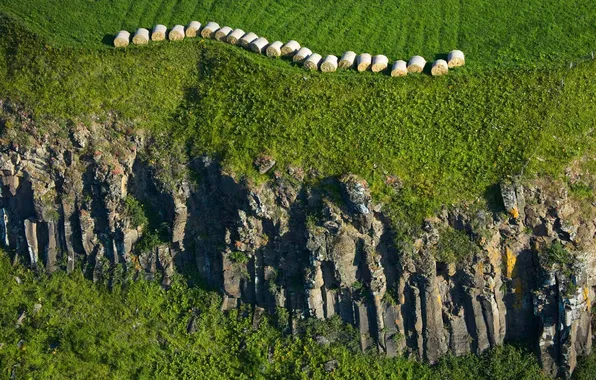 Picture rocks, France, straw, Auvergne, Murol