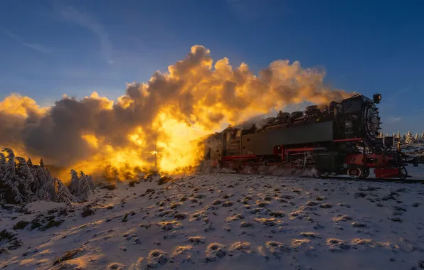 Picture winter, snow, smoke, train, the engine, Germany