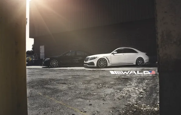 TUNING, WALD, MERCEDES, BENZ, BLACK BISON, W222, S-CLASS