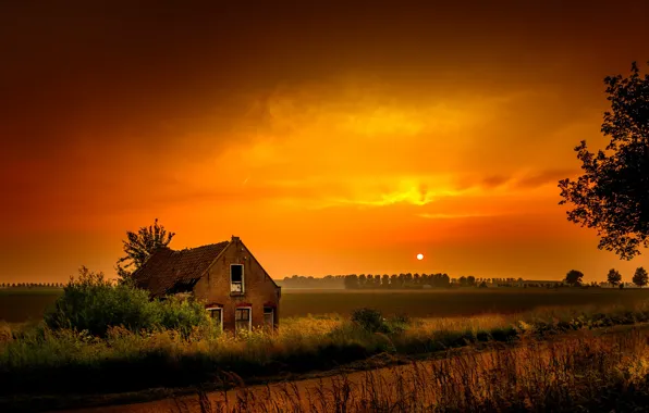 Field, night, nature, home