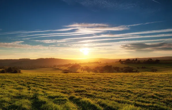Picture the sky, grass, the sun, clouds, trees, Field, horizon