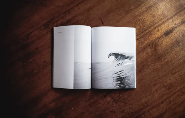 Picture table, figure, wave, book