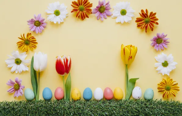 Grass, flowers, spring, colorful, Easter, tulips, chrysanthemum, flowers