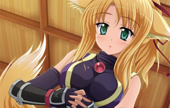 Picture girl, ears, anime, art, ponytail, Dog Days, Yukikaze Panettone