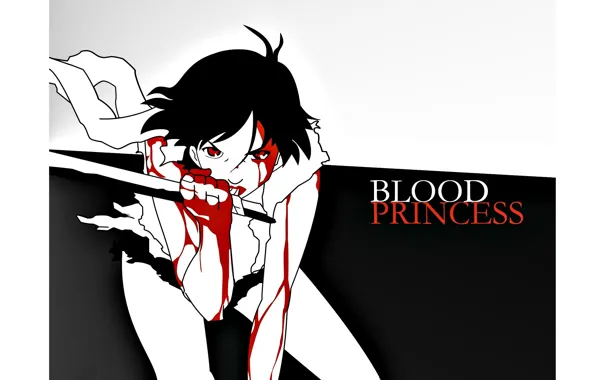 Blade, black hair, killer, fist, madness, bloody tears, princess, Saya Otonashi