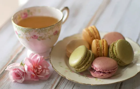 Picture flowers, tea, roses, cookies, plate, Cup, pink, macaron
