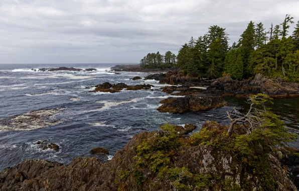 Picture the ocean, rocks, coast, Canada, British Columbia, Ucluelet