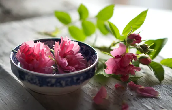 Picture leaves, flowers, table, background, Board, roses, light, blur