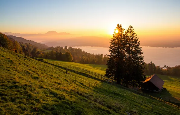 Forest, the sky, grass, the sun, trees, mountains, fog, river