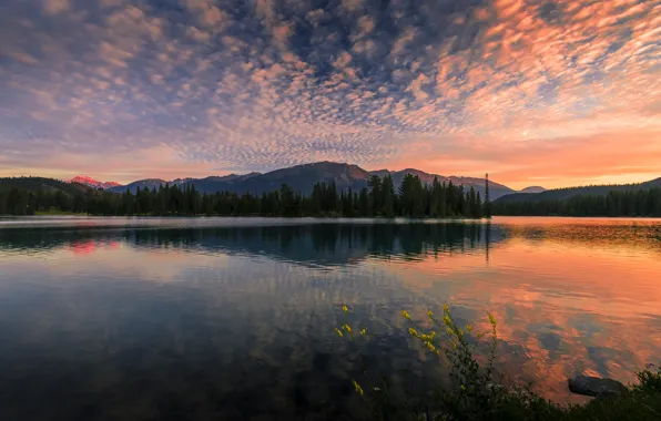 Forest, sunset, nature, lake, reflection