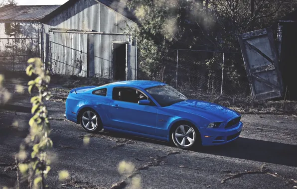 Picture The sun, Mustang, Ford, Blue, Ford, Muscle, Mustang, Car