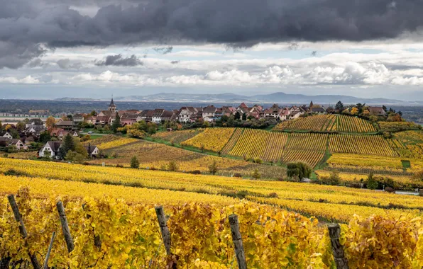 Autumn, clouds, trees, clouds, France, field, home, plantation