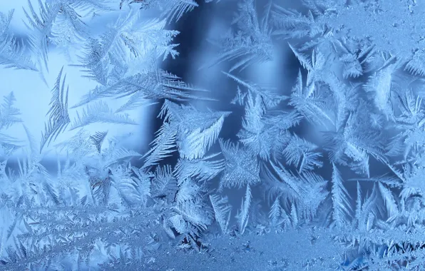 Picture winter, frost, window, frozen, Frosty, window