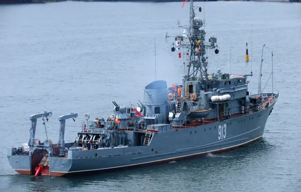 Sea, minesweeper, Kovrovets
