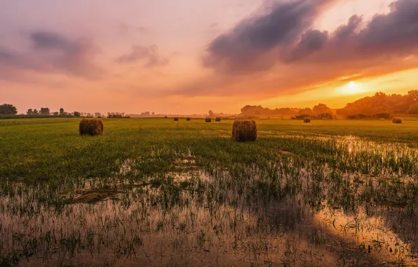 Field, autumn, the sky, grass, clouds, sunset, the evening, space