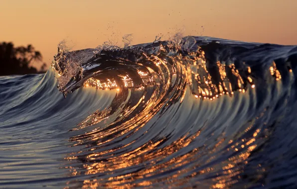 Sea, nature, the ocean, wave