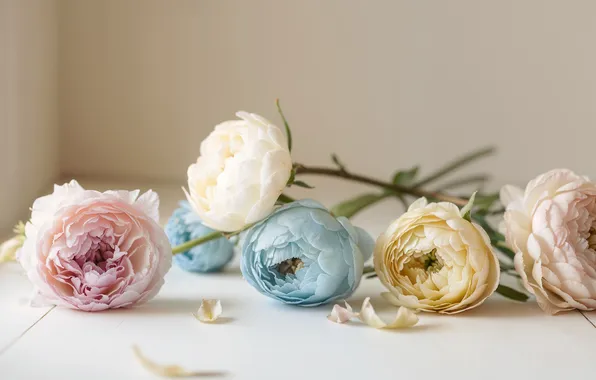Table, bouquet, blue, pink, white, still life, light background, peonies