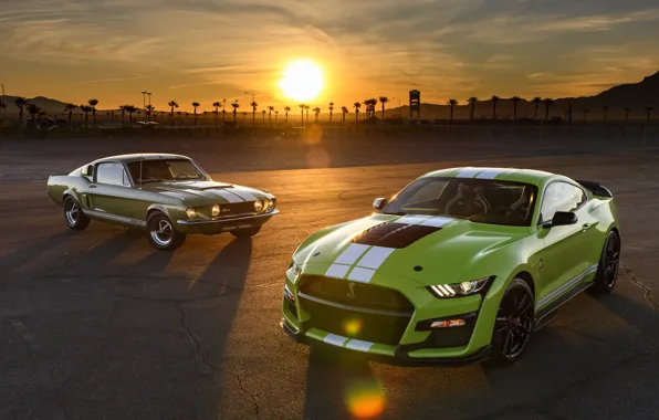Green, mustang, ford, gt500 shelby