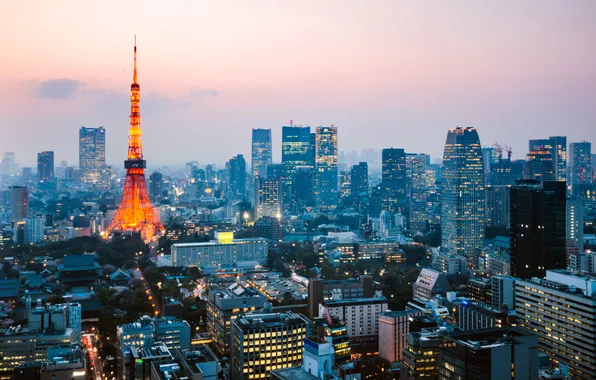 Picture the city, Japan, Tokyo, megapolis