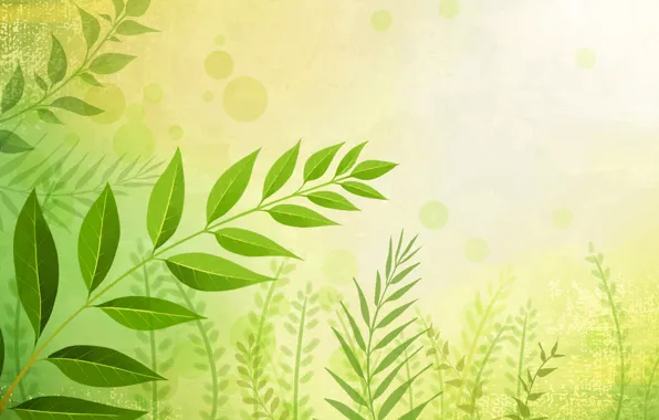 Leaves, nature, vector, branch
