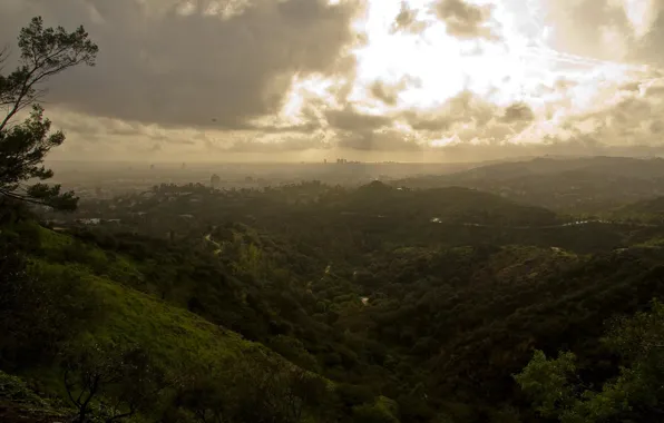 Greens, clouds, Los Angeles, Griffith Park