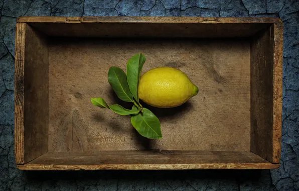 Leaves, cracked, background, lemon, wooden, still life, box