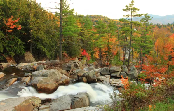 Picture Autumn, Stones, Fall, River, Autumn, Colors, River