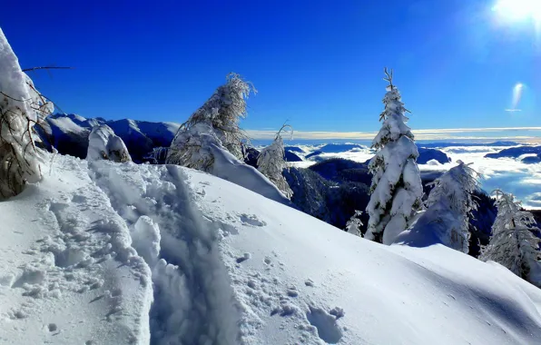 Picture winter, snow, trees, landscape, mountains, nature, heaven, ate