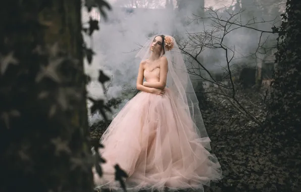 Picture forest, girl, dress, Rosie Hardy, Lauren Hall Worth