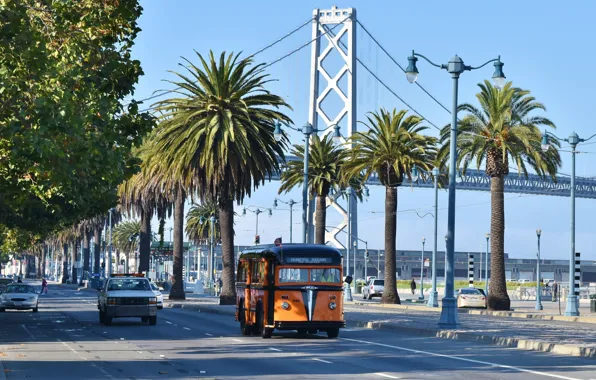 Bridge, the city, palm trees, street, cars, San Francisco