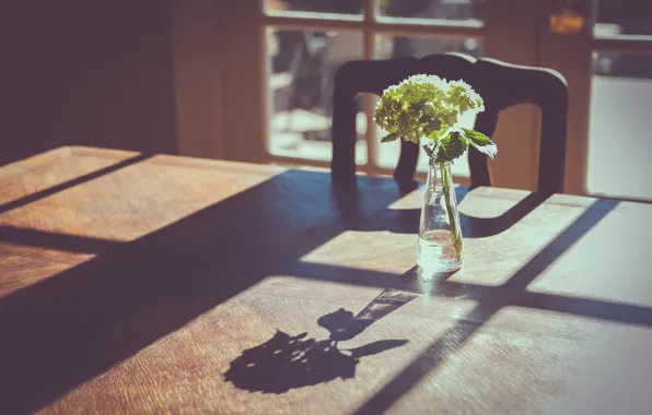 Flowers, table, shadow, window, vase