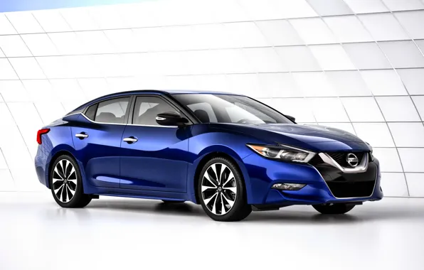 Picture Nissan, blue, Nissan, Maxim, 2015, Maxima